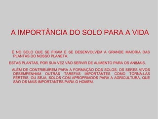 A IMPORTÂNCIA DO SOLO PARA A VIDA
É NO SOLO QUE SE FIXAM E SE DESENVOLVEM A GRANDE MAIORIA DAS
PLANTAS DO NOSSO PLANETA.
ESTAS PLANTAS, POR SUA VEZ VÃO SERVIR DE ALIMENTO PARA OS ANIMAIS.
ALÉM DE CONTRIBUÍREM PARA A FORMAÇÃO DOS SOLOS, OS SERES VIVOS
DESEMPENHAM OUTRAS TAREFAS IMPORTANTES COMO TORNÁ-LAS
FÉRTEIS, OU SEJA, SOLOS COM APROPRIADOS PARA A AGRICULTURA, QUE
SÃO OS MAIS IMPORTANTES PARA O HOMEM.
 