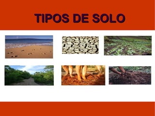 TIPOS DE SOLOTIPOS DE SOLO
 