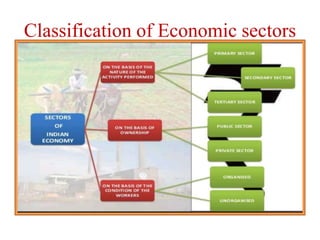 Classification of Economic sectors
 