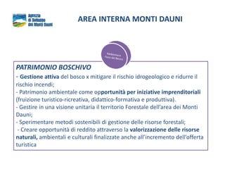 AREA INTERNA MONTI DAUNI
PATRIMONIO BOSCHIVO
- Gestione attiva del bosco x mitigare il rischio idrogeologico e ridurre il
rischio incendi;
- Patrimonio ambientale come opportunità per iniziative imprenditoriali
(fruizione turistico-ricreativa, didattico-formativa e produttiva).
- Gestire in una visione unitaria il territorio Forestale dell’area dei Monti
Dauni;
- Sperimentare metodi sostenibili di gestione delle risorse forestali;
- Creare opportunità di reddito attraverso la valorizzazione delle risorse
naturali, ambientali e culturali finalizzate anche all’incremento dell’offerta
turistica
 