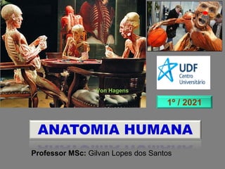 Von Hagens
Professor MSc: Gilvan Lopes dos Santos
ANATOMIA HUMANA
1º / 2021
 