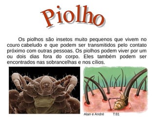 Os piolhos são insetos muito pequenos que vivem no
couro cabeludo e que podem ser transmitidos pelo contato
próximo com outras pessoas. Os piolhos podem viver por um
ou dois dias fora do corpo. Eles também podem ser
encontrados nas sobrancelhas e nos cílios.
Alan e André T:81
 