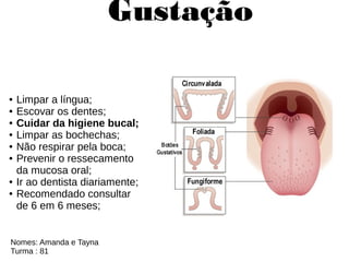 Gustação
● Limpar a língua;
● Escovar os dentes;
● Cuidar da higiene bucal;
● Limpar as bochechas;
● Não respirar pela boca;
● Prevenir o ressecamento
da mucosa oral;
● Ir ao dentista diariamente;
● Recomendado consultar
de 6 em 6 meses;
Nomes: Amanda e Tayna
Turma : 81
 