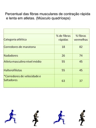 Percentual das fibras musculares de contração rápida 
e lenta em atletas. (Músculo quadríceps) 
 