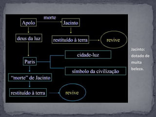 Jacinto:dotado de muita beleza.