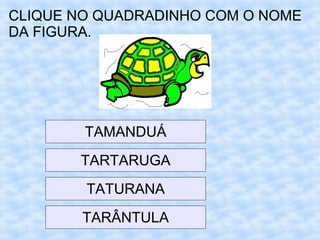 CLIQUE NO QUADRADINHO COM O NOME
DA FIGURA.
TAMANDUÁ
TARTARUGA
TARÂNTULA
TATURANA
 