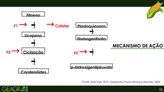 11
MECANISMO DE AÇÃO
Licopeno
Fonte: Mais Soja, 2019. Adaptado: Paulo Henrique Mendes, 2025.
Fitoeno
Ciclização
Carotenóides
Plastoquinonas
F3
Cofator
F1
F2
Homogentisato
p-hidroxigenilpiruvato
 