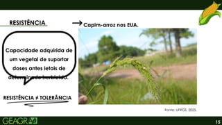 15
RESISTÊNCIA
Fonte: UFRGS, 2025.
Capim-arroz nos EUA.
Capacidade adquirida de
um vegetal de suportar
doses antes letais de
determinado herbicida.
RESISTÊNCIA ≠ TOLERÂNCIA
 