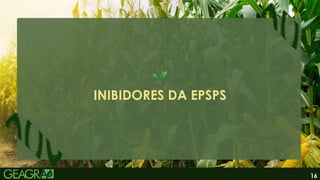 16
INIBIDORES DA EPSPS
 