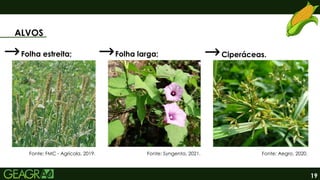 19
ALVOS
Fonte: FMC - Agrícola, 2019. Fonte: Syngenta, 2021.
Folha estreita; Folha larga; Ciperáceas.
Fonte: Aegro, 2020.
 