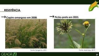 21
RESISTÊNCIA
Fonte: Mais Soja, 2019.
Picão-preto em 2023.
Capim-amargoso em 2008;
Fonte: Syngenta, 2021.
 