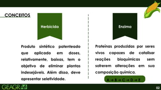 02
CONCEITOS
Herbicida Enzima
Proteínas produzidas por seres
vivos capazes de catalisar
reações bioquímicas sem
sofrerem alterações em sua
composição química.
Produto sintético patenteado
que aplicado em doses,
relativamente, baixas, tem o
objetivo de eliminar plantas
indesejáveis. Além disso, deve
apresentar seletividade. A B C D E
➜ ➜ ➜ ➜
 