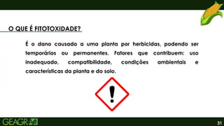 31
O QUE É FITOTOXIDADE?
É o dano causado a uma planta por herbicidas, podendo ser
temporários ou permanentes. Fatores que contribuem: uso
inadequado, compatibilidade, condições ambientais e
características da planta e do solo.
 