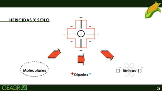 36
HERICIDAS X SOLO
Moleculares
Dipolos
Iônicos
[ ] [ ]
 
