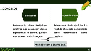 03
CONCEITOS
Seletividade
Refere-se à planta daninha. É o
nível de eficiência do herbicida
sobre determinada planta
daninha.
Refere-se à cultura. Herbicidas
seletivos não provocam danos
significativos a cultura, quando
usados na correta dosagem.
Especificidade
Afinidade com a enzima alvo.
 