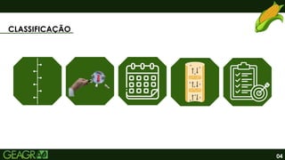 04
CLASSIFICAÇÃO
 
