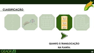 08
CLASSIFICAÇÃO
QUANTO À TRANSLOCAÇÃO
NA PLANTA;
 
