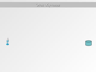 Этап обученияЭтап обучения
 