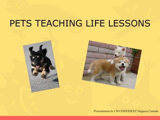 PETS TEACHING LIFE LESSONS




               Presentation by I M CONFIDENT Niagara Canada
 