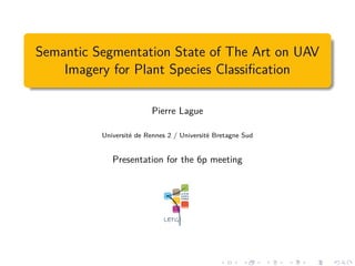 Semantic Segmentation State of The Art on UAV
Imagery for Plant Species Classification
Pierre Lague
Université de Rennes 2 / Université Bretagne Sud
Presentation for the 6p meeting
 
