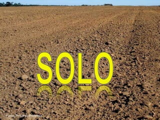 Fonte: Portal do Professor
 