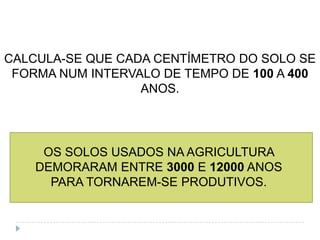 CALCULA-SE QUE CADA CENTÍMETRO DO SOLO SE
 FORMA NUM INTERVALO DE TEMPO DE 100 A 400
                  ANOS.




     OS SOLOS USADOS NA AGRICULTURA
    DEMORARAM ENTRE 3000 E 12000 ANOS
      PARA TORNAREM-SE PRODUTIVOS.
 