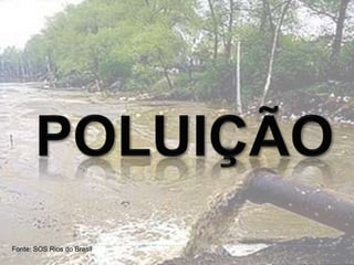 Fonte: SOS Rios do Brasil
 