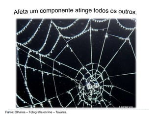 Fonte: Olhares – Fotografia on line – Tavares.
 