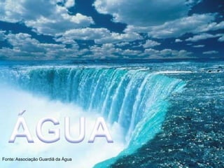 Fonte: Associação Guardiã da Água
 