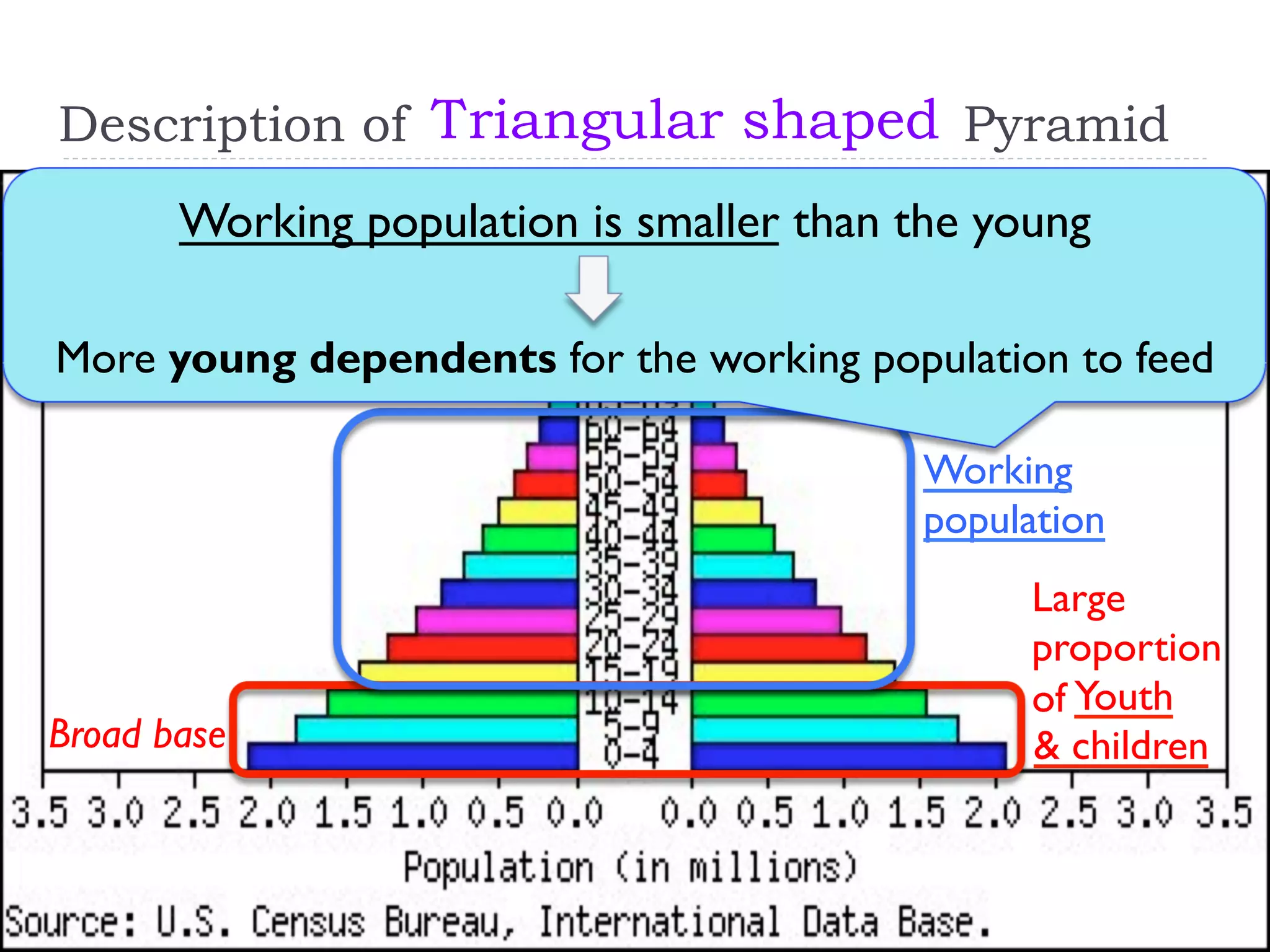 Description of Pyramid
Youth
& children
Large
proportion
of
Broad base
Working
population
Triangular shaped
Working population is smaller than the young
More young dependents for the working population to feed
 