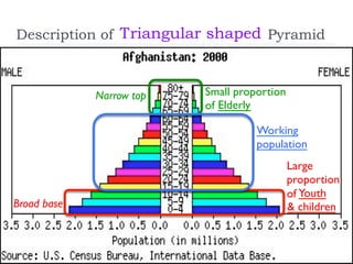 Description of Pyramid
Youth
& children
Elderly
Large
proportion
of
Broad base
Working
population
Triangular shaped
Small proportion
of
Narrow top
 