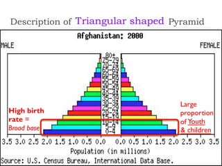 Description of Pyramid
Youth
& children
Large
proportion
of
Broad base
Triangular shaped
High birth
rate =
 