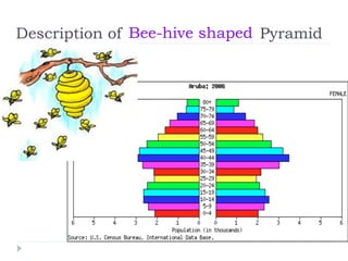Description of PyramidBee-hive shaped
 