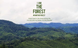 I have lived in the forest all my life.
It is not only my home. It is my identity.
 