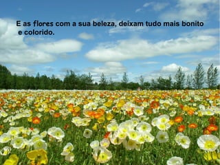 E as flores com a sua beleza, deixam tudo mais bonito
e colorido.
 