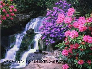 A PRIMAVERA É O RENASCER DAS FLORES.
 