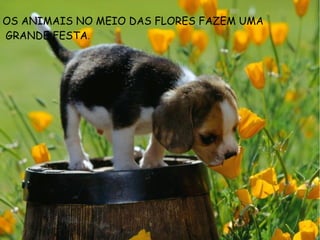 OS ANIMAIS NO MEIO DAS FLORES FAZEM UMA
GRANDE FESTA.
 