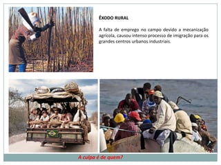 A formação das cidades em conseqüência da industrialização estão diretamente ligadas as péssimas condições de vida existentes na zona rural, em função da estrutura fundiária bastante concentrada, dos baixos salários, da falta de apoio aos pequenos agricultores. 