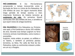 Em suma, percebe-se que a maioria dos problemas urbanos é primeiramente de responsabilidade do poder público que muitas vezes são omissos em relação a essas questões, em outros momentos podemos apontar a própria população como geradora de problemas, como o lixo que é lançado em áreas impróprias. Na verdade, a tarefa de fazer com que a cidade seja um lugar bom pra se viver é de todos os que nela habitam. Para interagir na Net:Leiam o texto sobre Pegada Ecológica no livro na página 257E depois façam o teste no site interativo: http://www.pegadaecologica.org.br/Muito legal, vale a pena!!!