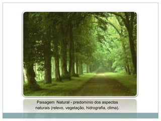 PaisagemNatural - predomínio dos aspectos naturais (relevo, vegetação, hidrografia, clima).