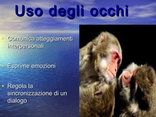 Uso degli occhiUso degli occhi
• Comunica atteggiamentiComunica atteggiamenti
interpersonaliinterpersonali
• Esprime emozioniEsprime emozioni
• Regola laRegola la
sincronizzazione di unsincronizzazione di un
dialogodialogo
 