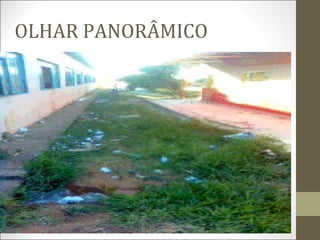 OLHAR PANORÂMICO
 