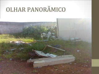 OLHAR PANORÂMICO
 