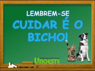 Projeto cuidar é o bicho!