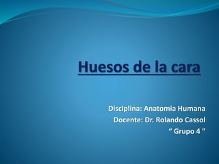 Disciplina: Anatomia Humana
Docente: Dr. Rolando Cassol
“ Grupo 4 ”
 