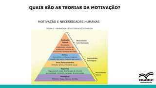 QUAIS SÃO AS TEORIAS DA MOTIVAÇÃO?
MOTIVAÇÃO E NECESSIDADES HUMANAS
 