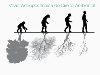 Publicidade, Meio Ambiente e Ética