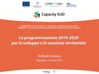 La programmazione 2014-2020
per lo sviluppo e la coesione territoriale
Raffaele Colaizzo
Mesagne, 7 marzo 2014
LABORATORIO “GAL Territori Attivi – Opportunità e strategie verso Europa 2020”
WORKSHOP “Il nuovo scenario della programmazione Europa 2020 e le priorità dei GAL”
 