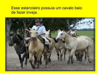 Esse estancieiro possuia um cavalo baio de fazer inveja.  