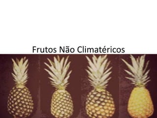 Frutos Não Climatéricos
 